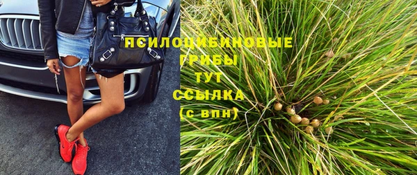 гашик Баксан
